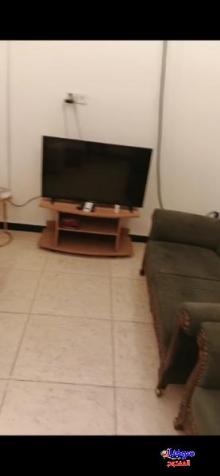 شقه مؤثثه للايجار